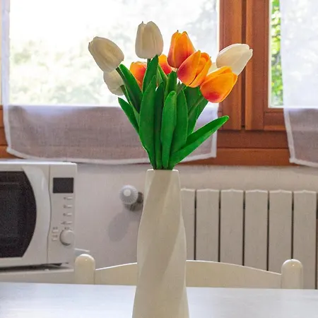 Familybo Sant'orsola בולוניה