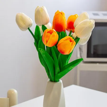 Appartement Familybo Sant'orsola *