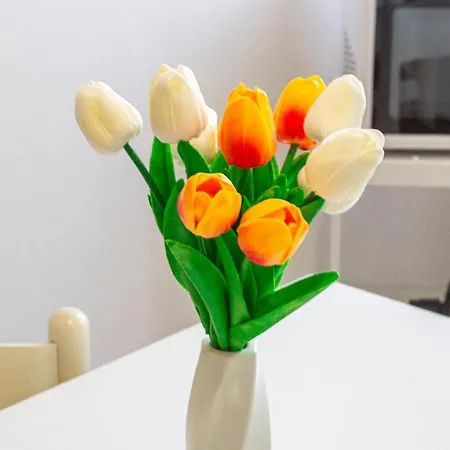 Familybo Sant'orsola 볼로냐