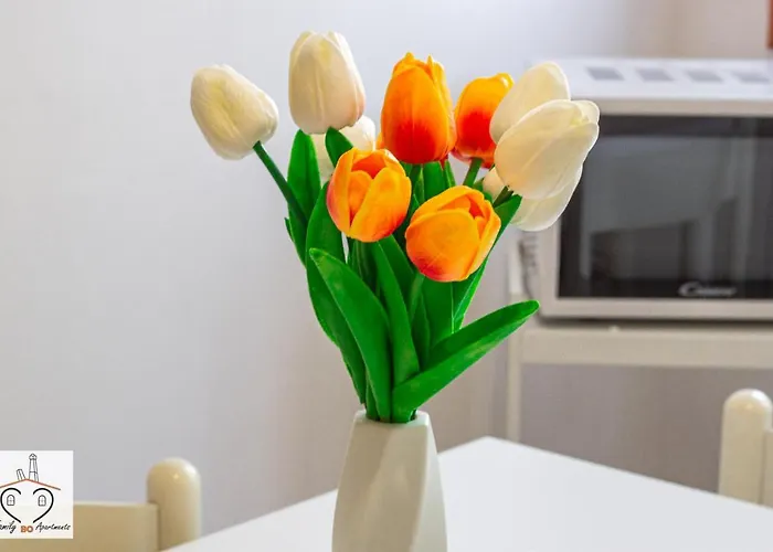 Appartement Familybo Sant'orsola *